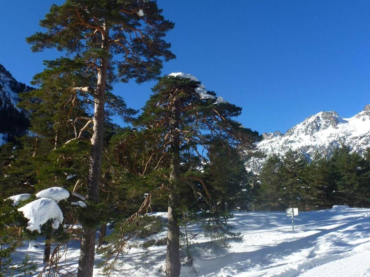 Appartement T2 Bis Cauterets - 50M Telecabine Et Thermes - 4/6 Pers - Parking Gratuit - Fr-1-234-300 Exterior photo
